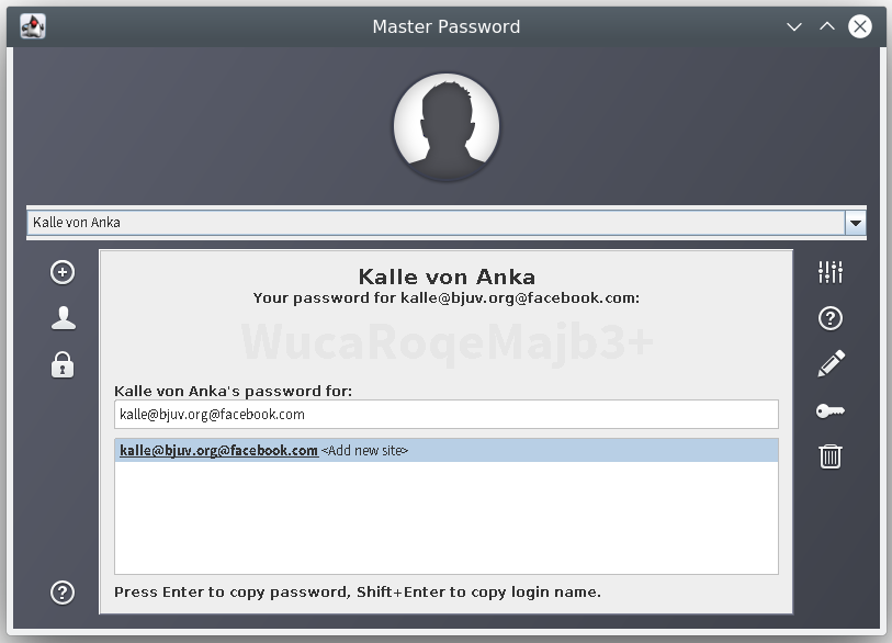 Master Password