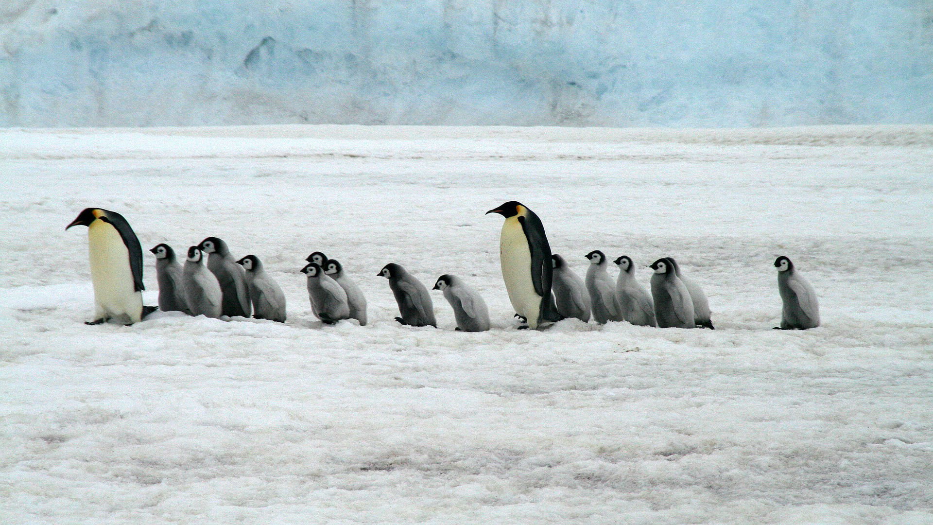 Avancerade rättigheter i Linux « CyberInfo Sverige